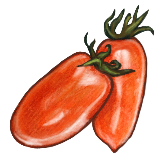 Growing San Marzano Tomatoes: Tips for Watering, Spacing, Pruning, and Uses